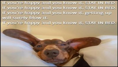 sleep - if you're happy and you.jpg