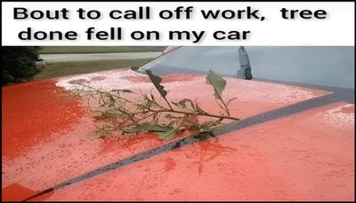 work - bout to call off work.jpg