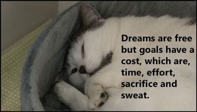 dream - dreams are free but goals.jpg