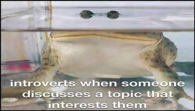introvert - introverts when someone discusses.jpg