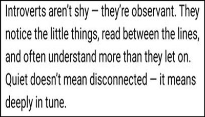 introvert - introverts aren't shy.jpg