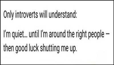 introvert - only introverts will understand.jpg