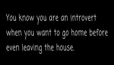 introvert - you know you are an introvert.jpg