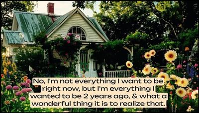 note to self - no I'm not everything I want.jpg