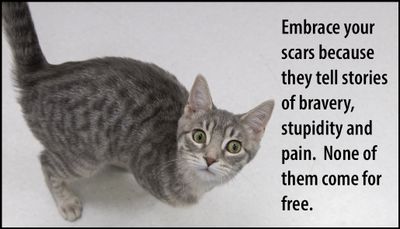 note to self - embrace your scars because they.jpg