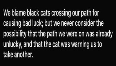 make u think - we blame black cats crossing.jpg