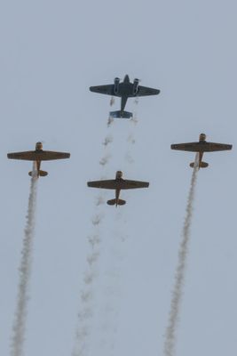 Chatham Airshow D250610 0768 www.jpg