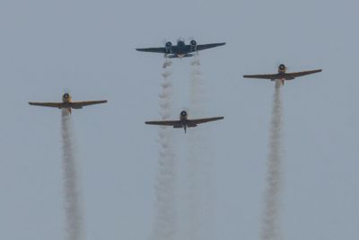 Chatham Airshow D250610 0732 www.jpg