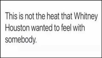 funny - this is not the heat.jpg