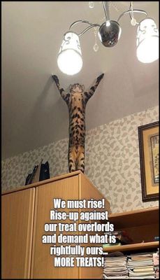 animals - v - we must rise.jpg