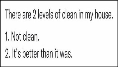 funny - there are two levels of clean.jpg
