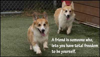 Friends