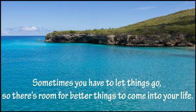 note to self - sometimes you have to let things go.jpg