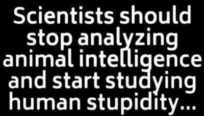stupid - scientists should stop analyzing.jpg