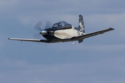 London Airshow D250901 3173 www.jpg