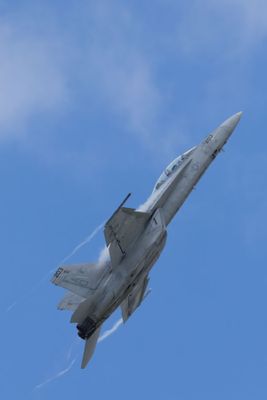 London Airshow D250903 2827 www.jpg