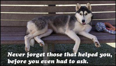note to self - never forget those that.jpg