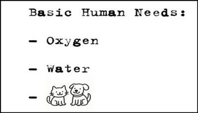 Animals