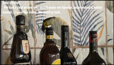 alcohol - dear alcohol we had a deal.jpg
