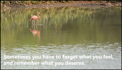 note to self - sometimes you have to forget.jpg