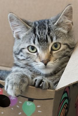 PAWR D251106 073 www.jpg