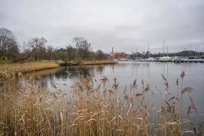 g13/94/11494/3/175111525.f2cc2073.JPEG