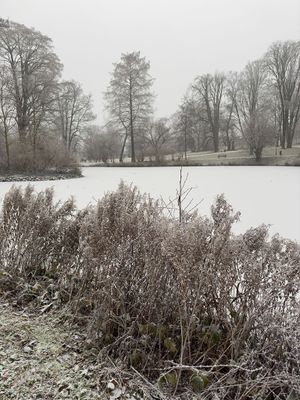 g13/94/11494/3/175144559.82f51de5.JPEG