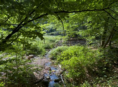 g13/94/11494/3/175494011.93e8133e.JPEG
