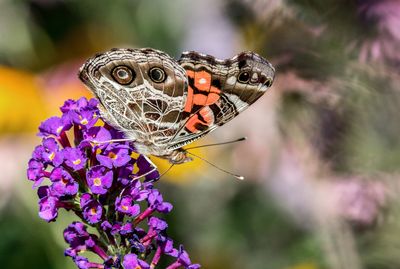 IMG_3628_edited-2.jpg