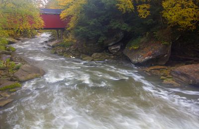 rapids_edited-1.jpg