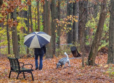 dogwalker_edited-1.jpg