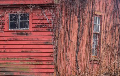 redshed_edited-1.jpg