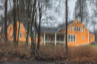 orangehouse_edited-1.jpg