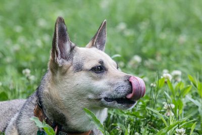 derpy_edited-1.jpg