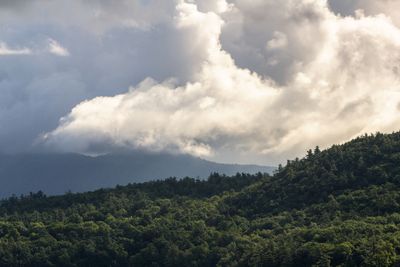 lakegeorge_edited-1.jpg