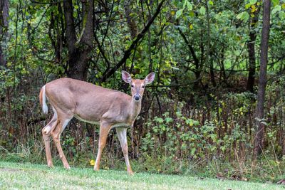 IMG_2756_edited-2.jpg