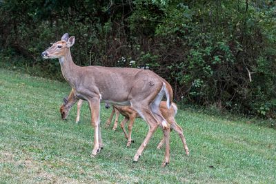 IMG_2760_edited-2.jpg