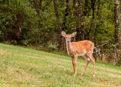 IMG_2757_edited-2.jpg