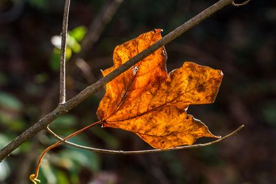 IMG_2805_edited-2.jpg