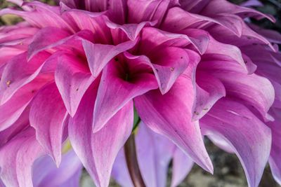 IMG_2996_edited-2.jpg