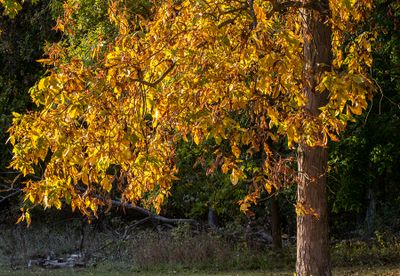 IMG_3198_edited-2.jpg