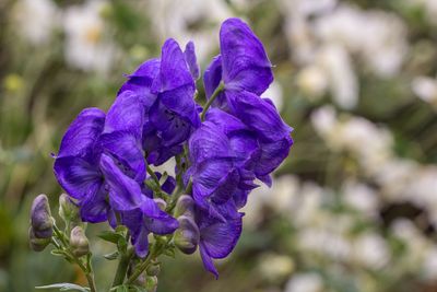 IMG_3262_edited-2.jpg