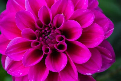 IMG_3332_edited-2.jpg