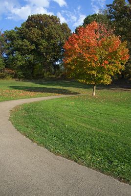 IMG_3367-1_edited-2.jpg