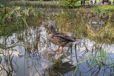 IMG_3395_edited-2.jpg
