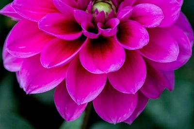 IMG_3323_edited-1.jpg