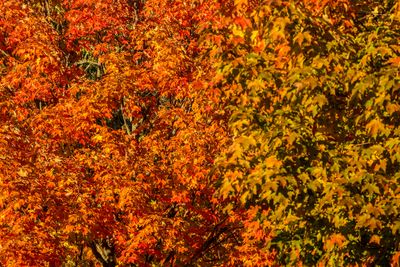IMG_3580_edited-1.jpg