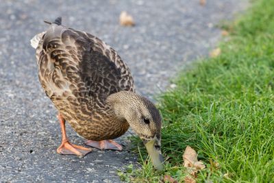 IMG_3530_edited-2.jpg