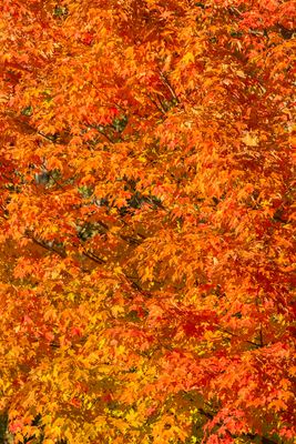 IMG_3584_edited-2.jpg