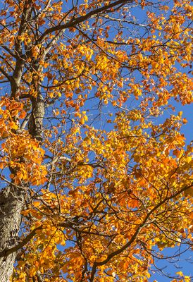 IMG_3642_edited-2.jpg